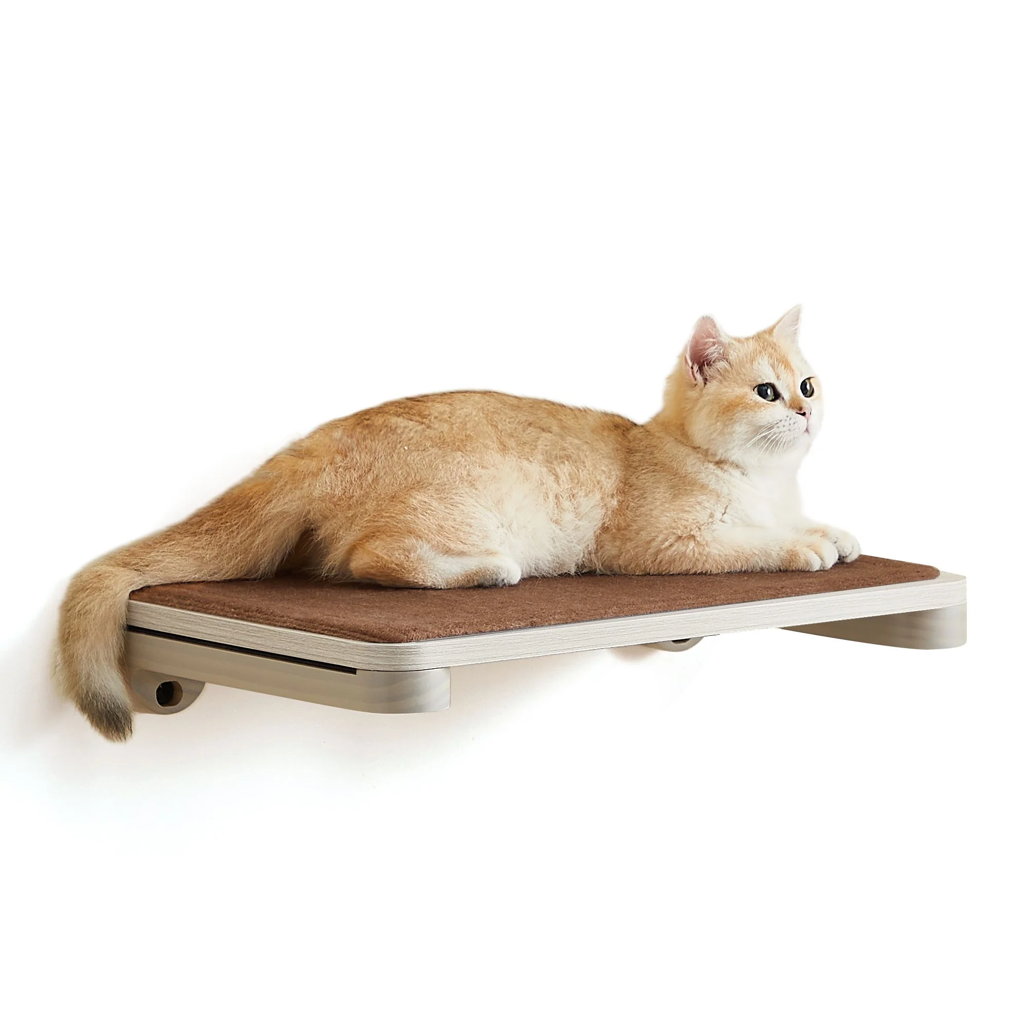 Wall-Mounted Cat Shelf with Felt Pad
